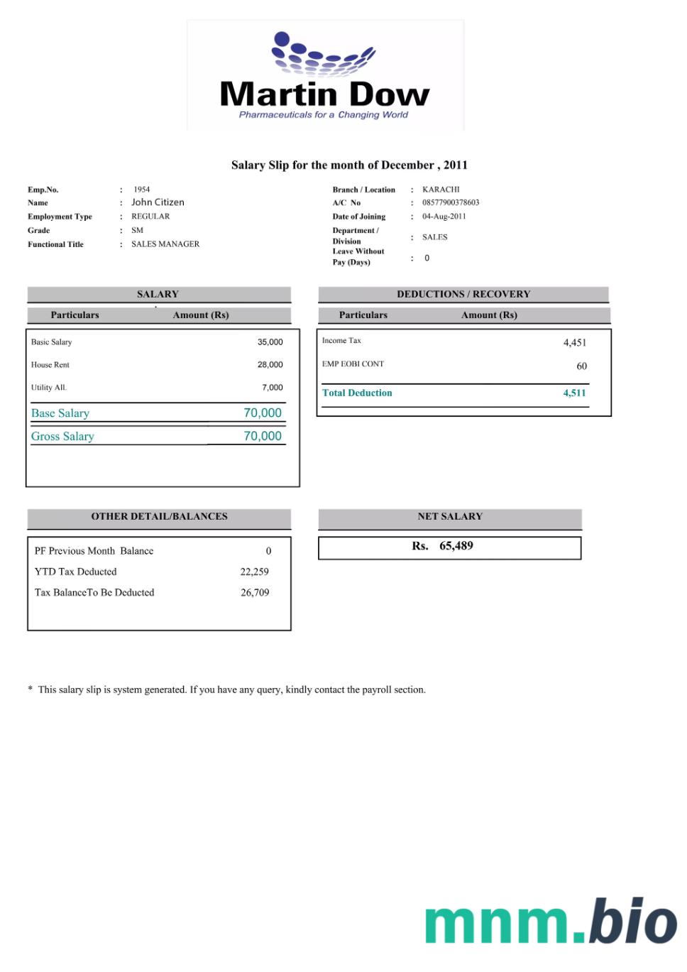 PAKISTAN MARTIN Dow paystlip szablon w formacie Word i PDF
